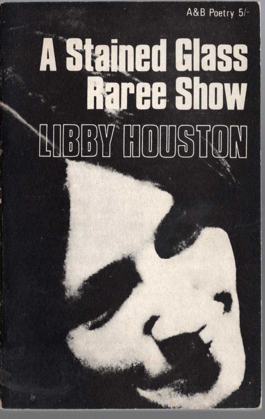 Libby Houston  A STAINED GLASS RAREE SHOW front book cover image