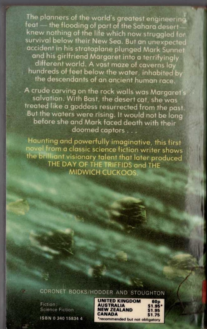 John Wyndham  THE SECRET PEOPLE magnified rear book cover image
