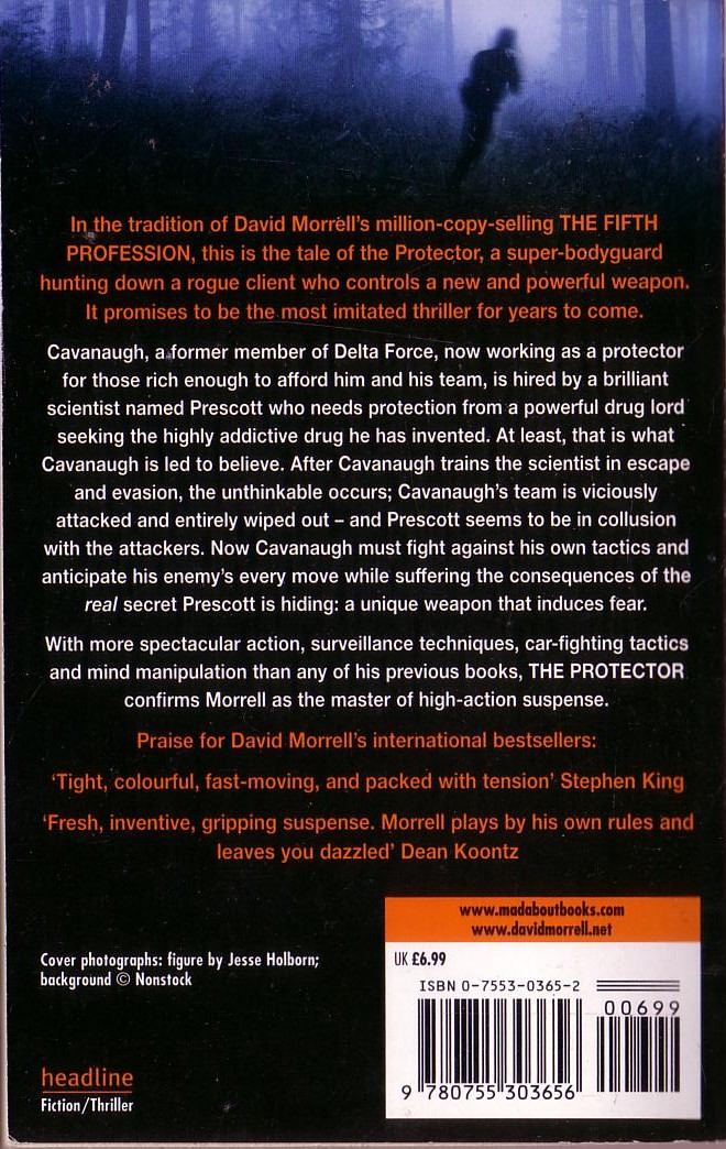 David Morrell  THE PROTECTOR magnified rear book cover image
