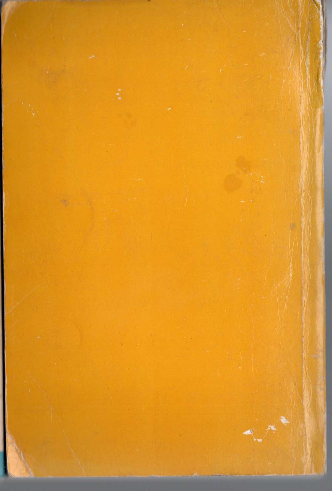  magnified rear book cover image