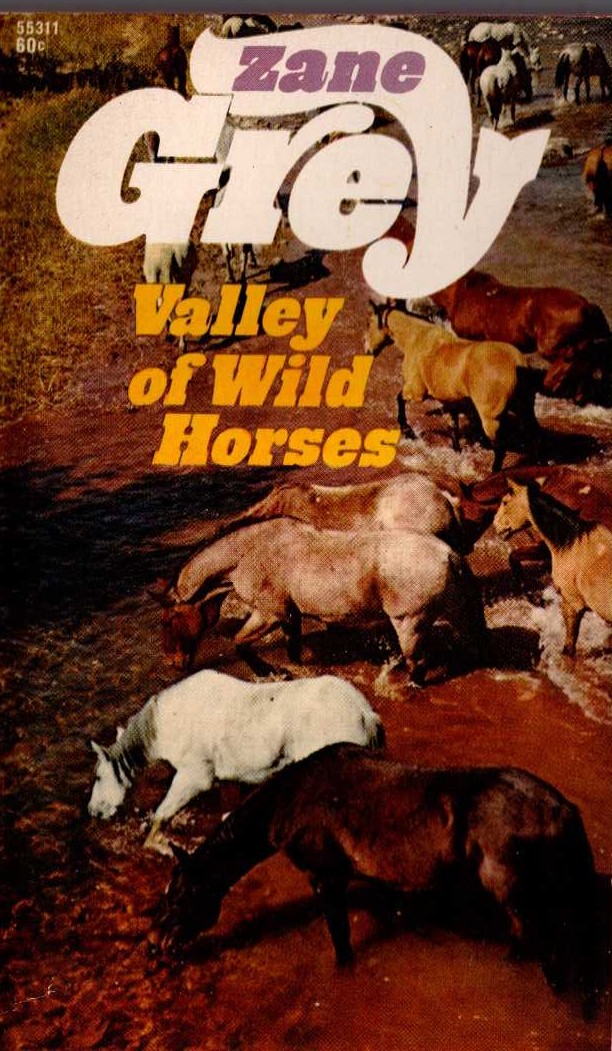 Zane Grey  VALLEY OF WILD HORSES front book cover image