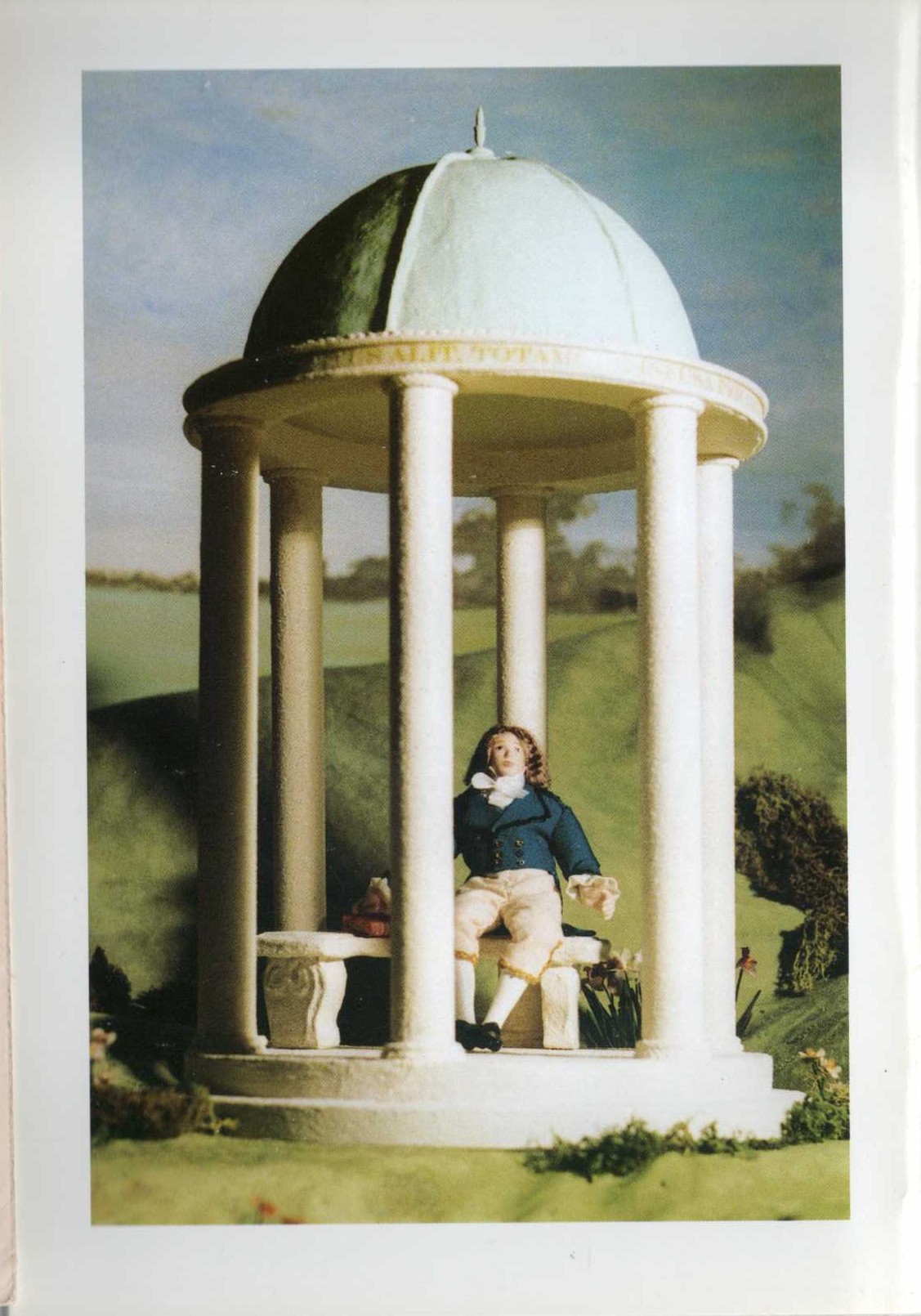  magnified rear book cover image