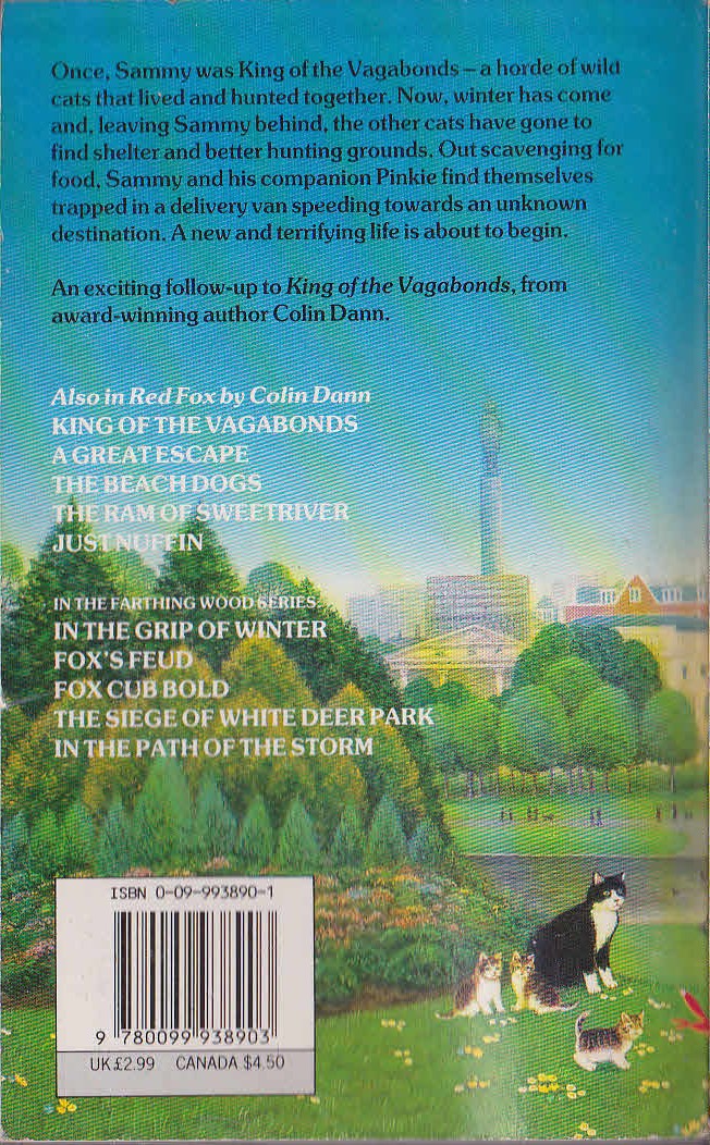 Colin Dann  THE CITY CATS magnified rear book cover image