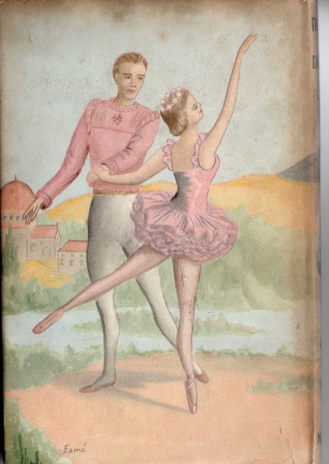 DANCER IN DANGER magnified rear book cover image