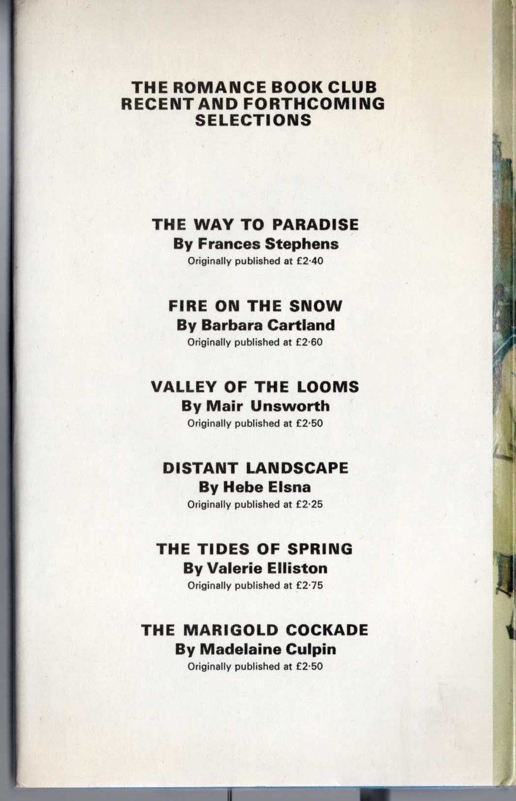 THE FLEDGLING magnified rear book cover image