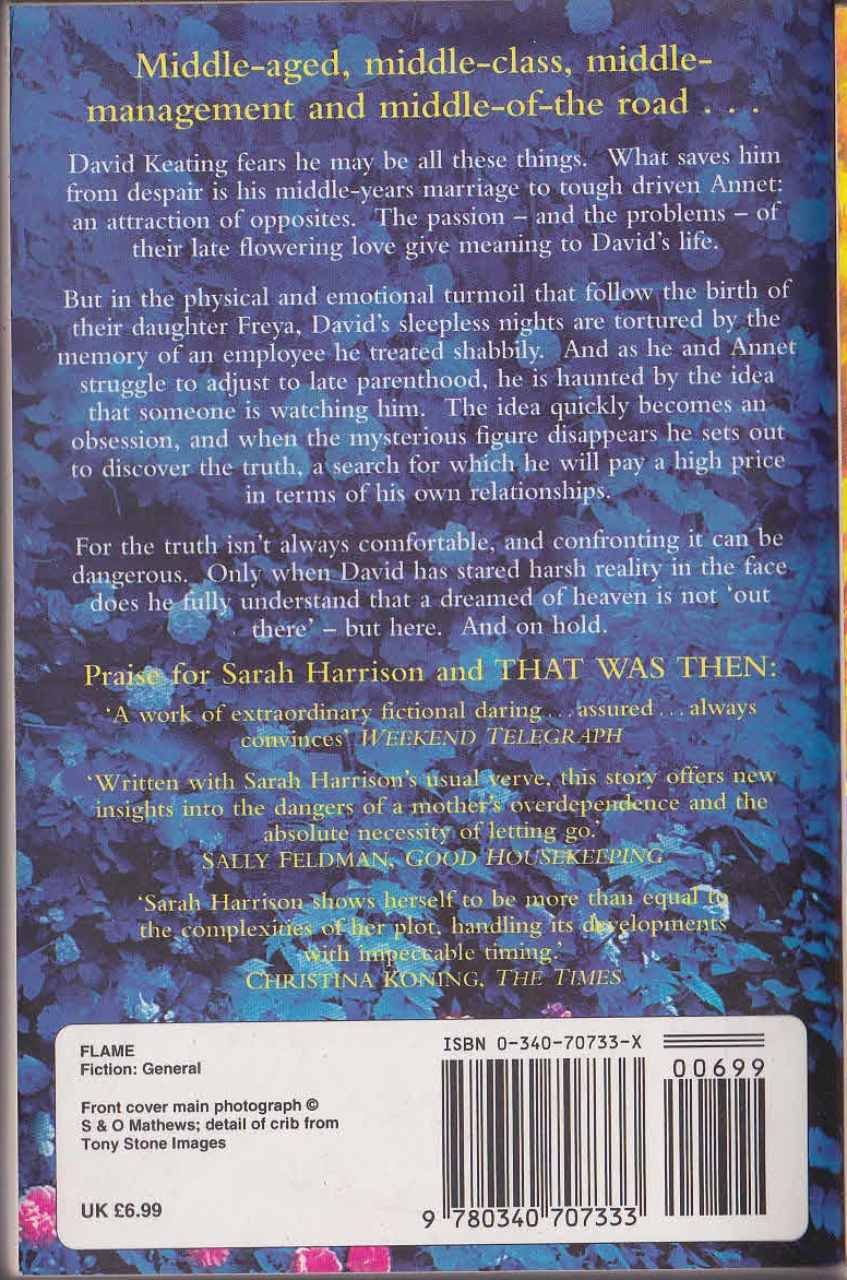 Sarah Harrison  HEAVEN'S ON HOLD magnified rear book cover image