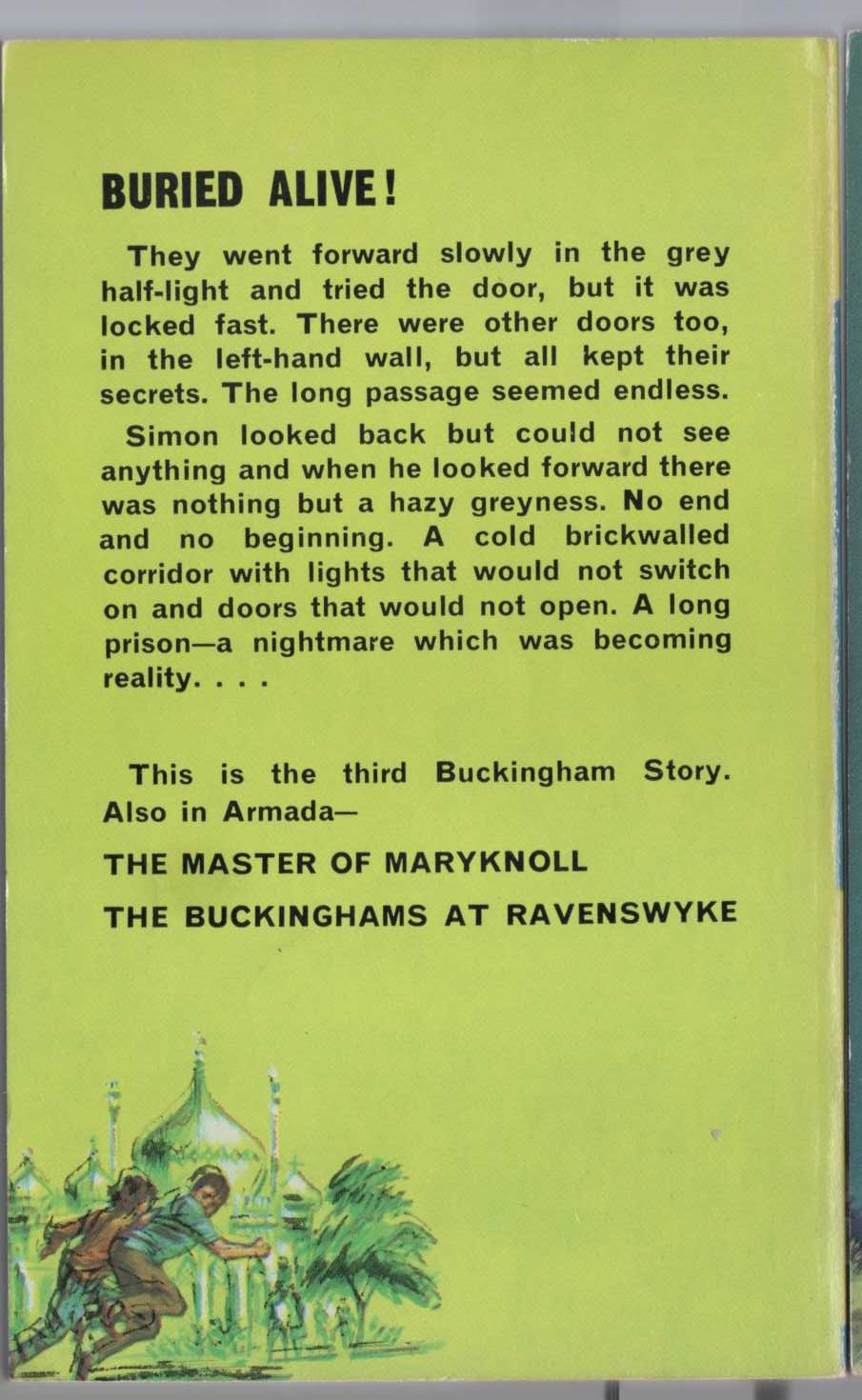 Malcolm Saville  THE LONG PASSAGE magnified rear book cover image