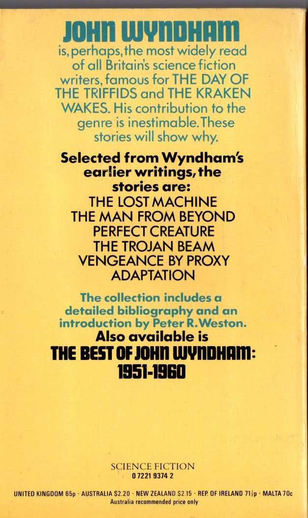 Denise Robins  THE SIN WAS MINE magnified rear book cover image