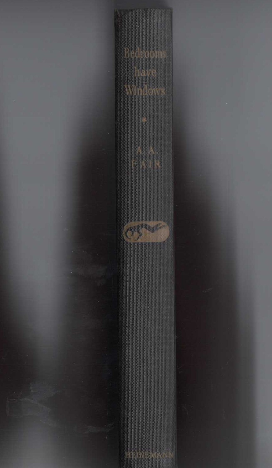 BEDROOMS HAVE WINDOWS front book cover image