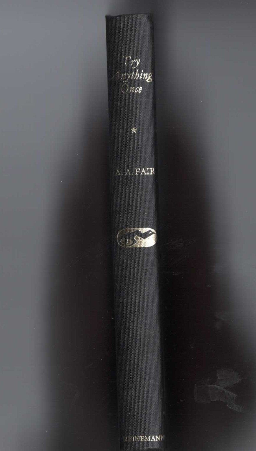 TRY ANYTHING ONCE front book cover image