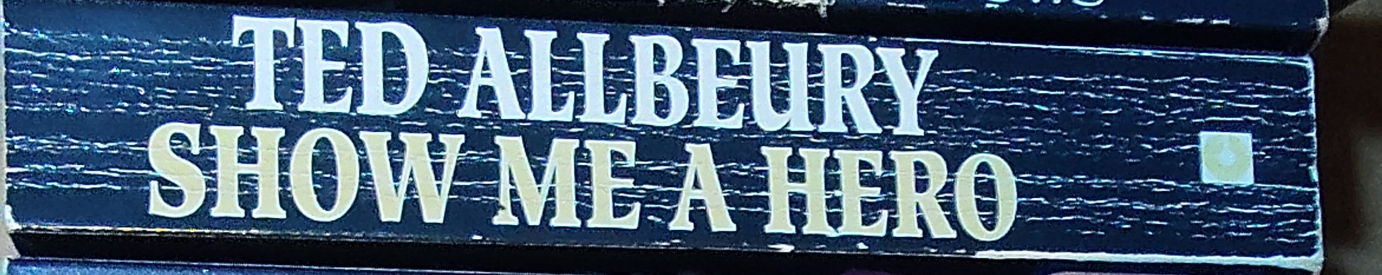 Ted Allbeury  SHOW ME A HERO spine of book image