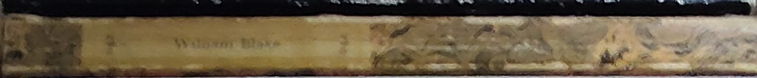 J. Bronowski (introduces_and_edits) WILLIAM BLAKE. Poetry spine of book image