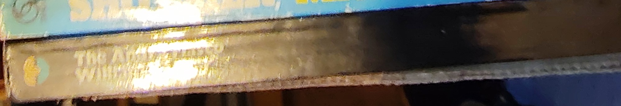 William Garner  THE ANDRA FIASCO spine of book image