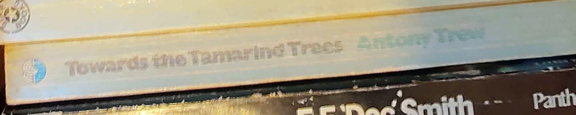 Antony Trew  TOWARDS THE TAMARIND TREES spine of book image