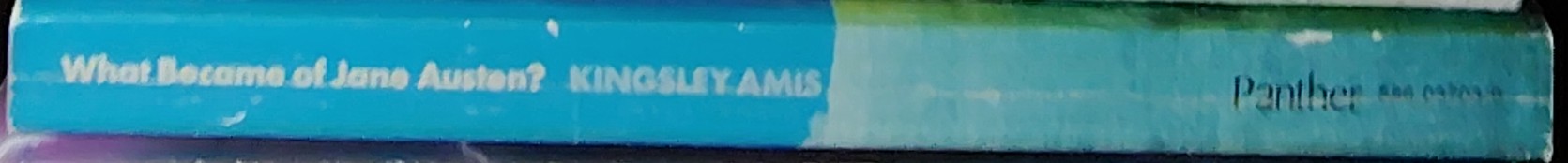 Kingsley Amis  WHAT BECAME OF JANE AUSTEN? and Other Questions (non-fiction) spine of book image