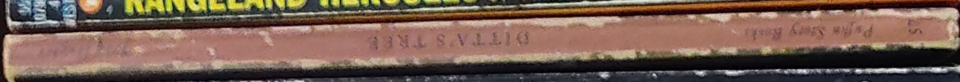 Jean Hughes  DITTA'S TREE spine of book image