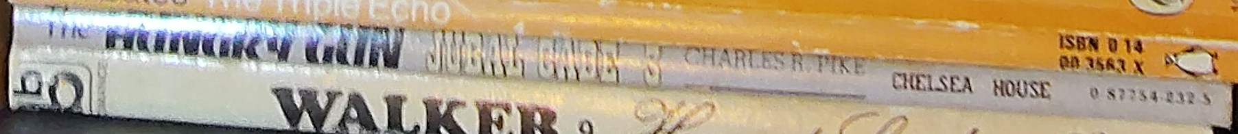 Charles R. Pike  JUBAL CADE 3: THE HUNGRY GUN spine of book image