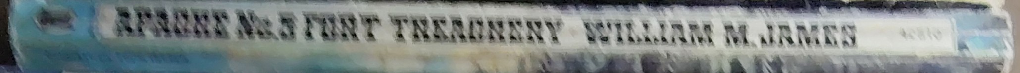 William M. James  APACHE 5: FORT TREACHERY spine of book image