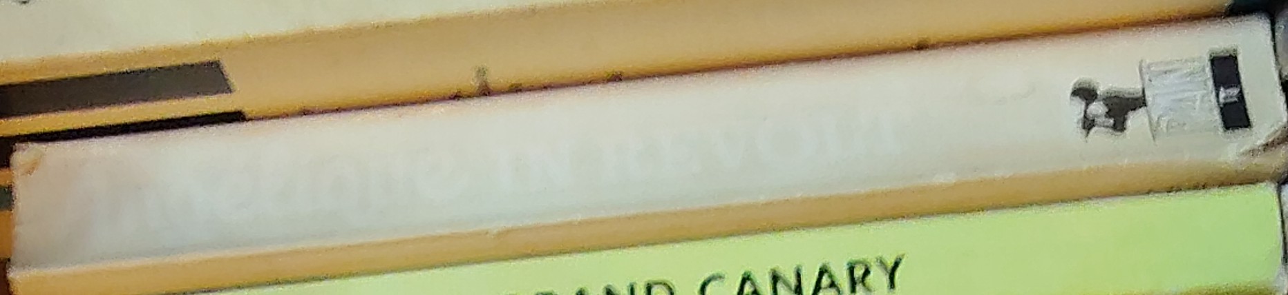 Sergeanne Golon  ANGELIQUE IN REVOLT spine of book image