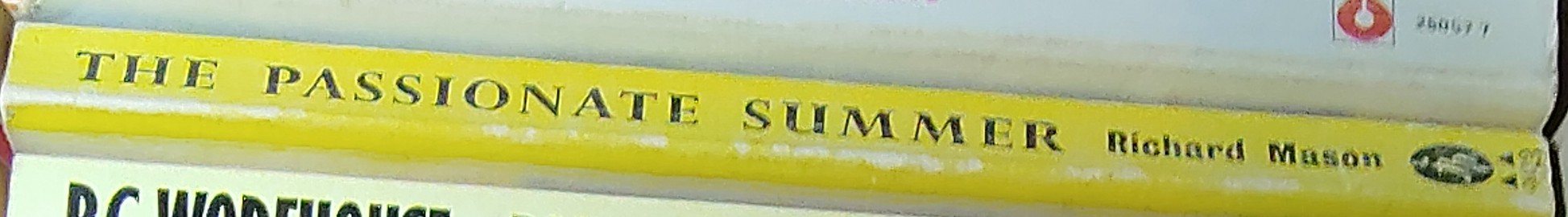Richard Mason  THE PASSIONATE SUMMER spine of book image
