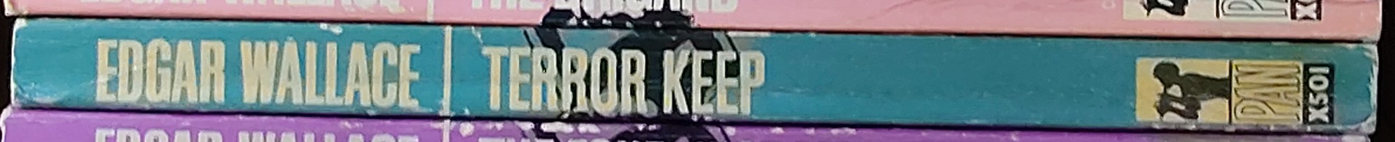 Edgar Wallace  TERROR KEEP spine of book image