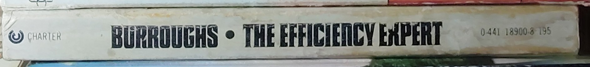 Edgar Rice Burroughs  THE EFFIENCY EXPERT spine of book image