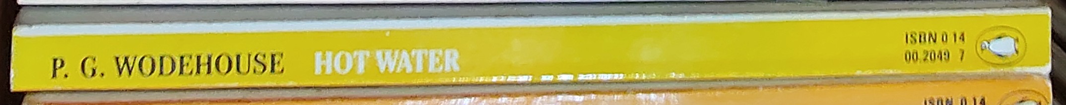 P.G. Wodehouse  HOT WATER spine of book image