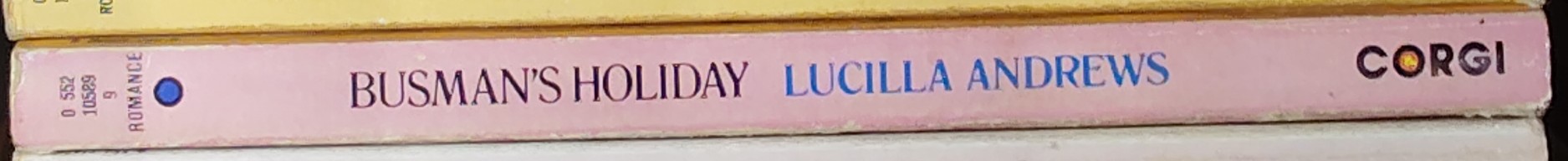 Lucilla Andrews  BUSMAN'S HOLIDAY spine of book image