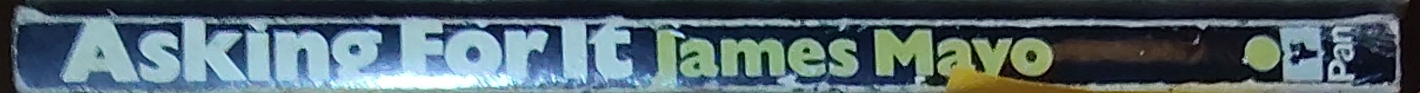 James Mayo  ASKING FOR IT spine of book image