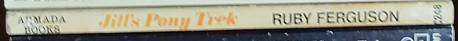 Ruby Ferguson  JILL'S PONY TREK spine of book image