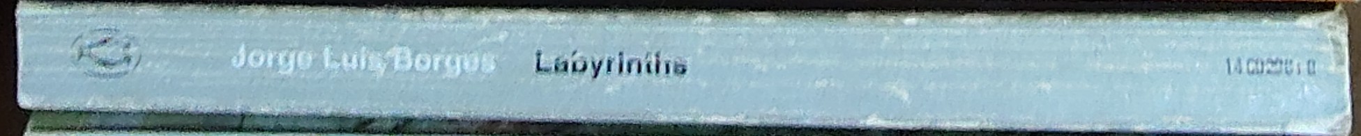 Jorge Luis Borges  LABYRINTHS spine of book image