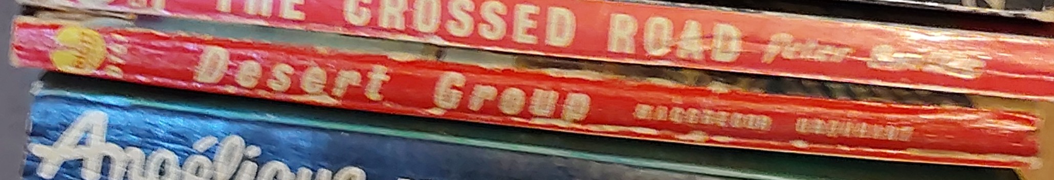 Macgregor Urquhart  DESERT GROUP spine of book image