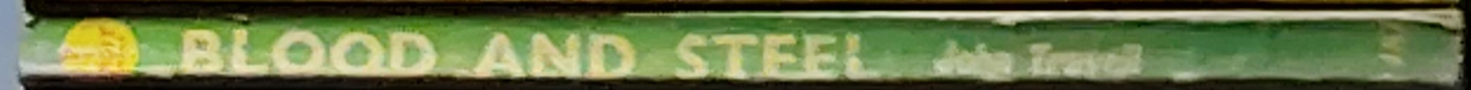 John Travell  BLOOD AND STEEL spine of book image