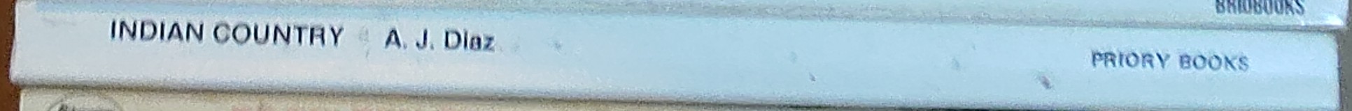 A.J. Diaz  INDIAN COUNTRY spine of book image