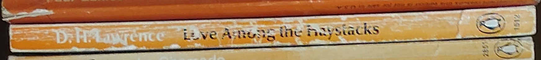 D.H. Lawrence  LOVE AMONG THE HAYSTACKS and other stories spine of book image