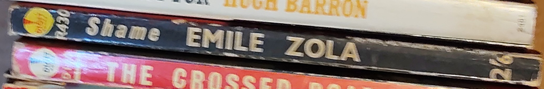 Emile Zola  SHAME spine of book image
