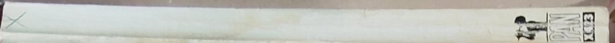 Victor Canning  THE LIMBO LINE spine of book image