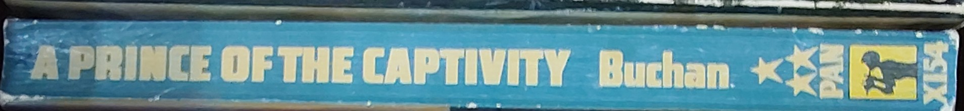 John Buchan  A PRINCE OF THE CAPTIVITY spine of book image