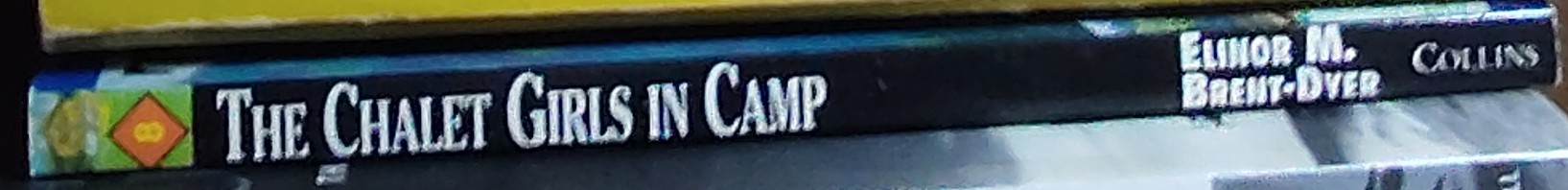 Elinor M. Brent-Dyer  THE CHALET GIRLS IN CAMP spine of book image