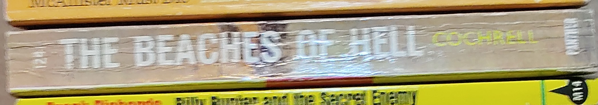 Boyd Cochrell  THE BEACHES OF HELL spine of book image