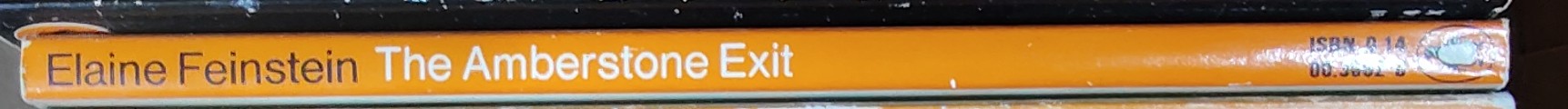 Elaine Feinstein  THE AMBERSTONE EXIT spine of book image