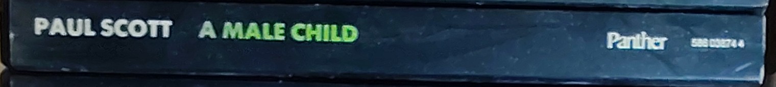 Paul Scott  A MALE CHILD spine of book image