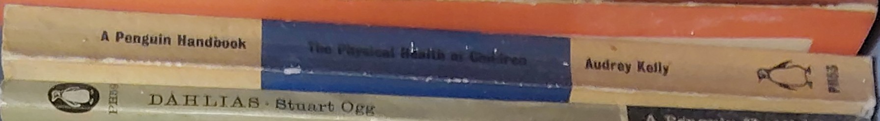 Audrey Kelly  THE PHYSICAL HEALTH OF CHILDREN spine of book image