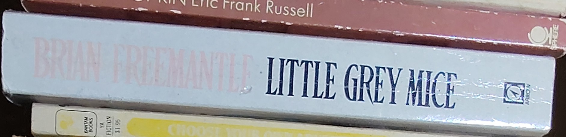 Brian Freemantle  LITTLE GREY MICE spine of book image