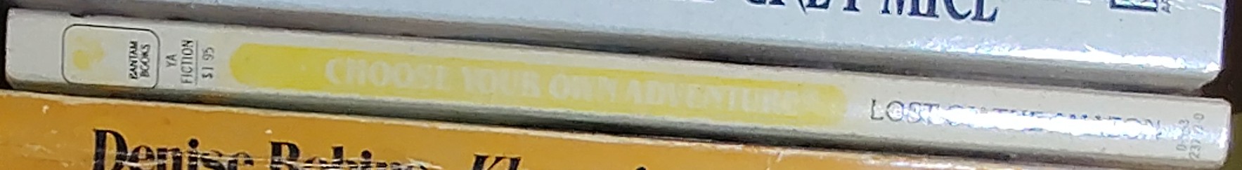 R.A. Montgomery  LOST ON THE AMAZON (Choose Your Own Adventure Book) spine of book image