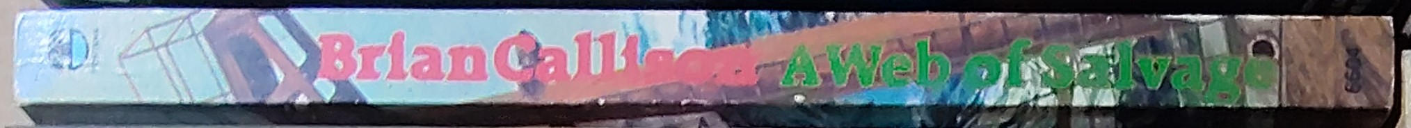 Brian Callison  A WEB OF SALVAGE spine of book image