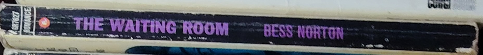 Bess Norton  THE WAITING ROOM spine of book image