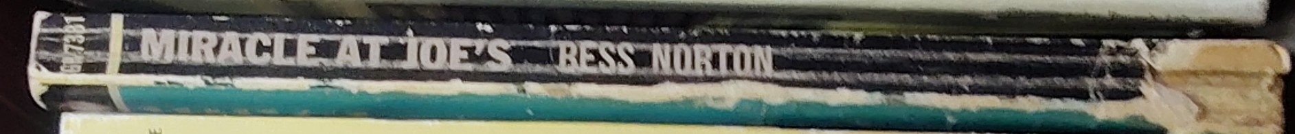 Bess Norton  MIRACLE AT JOE'S spine of book image