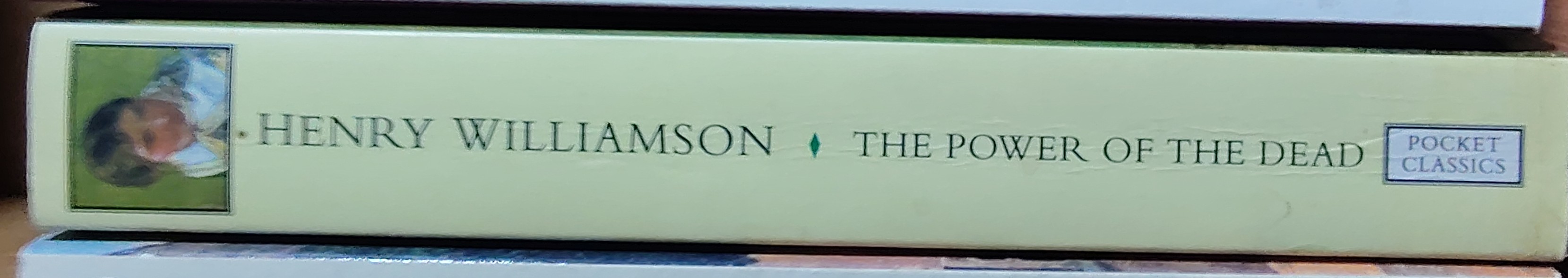 Henry Williamson  THE POWER OF THE DEAD spine of book image