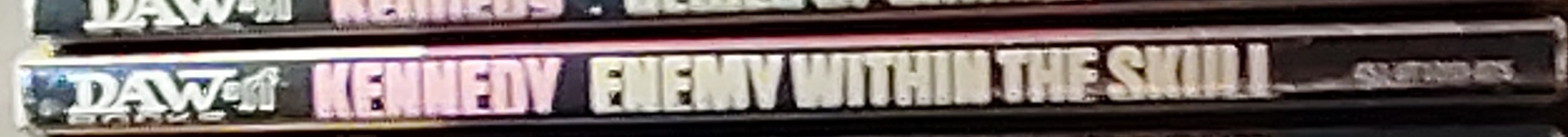 Gregory Kern  ENEMY WITHIN THE SKULL spine of book image